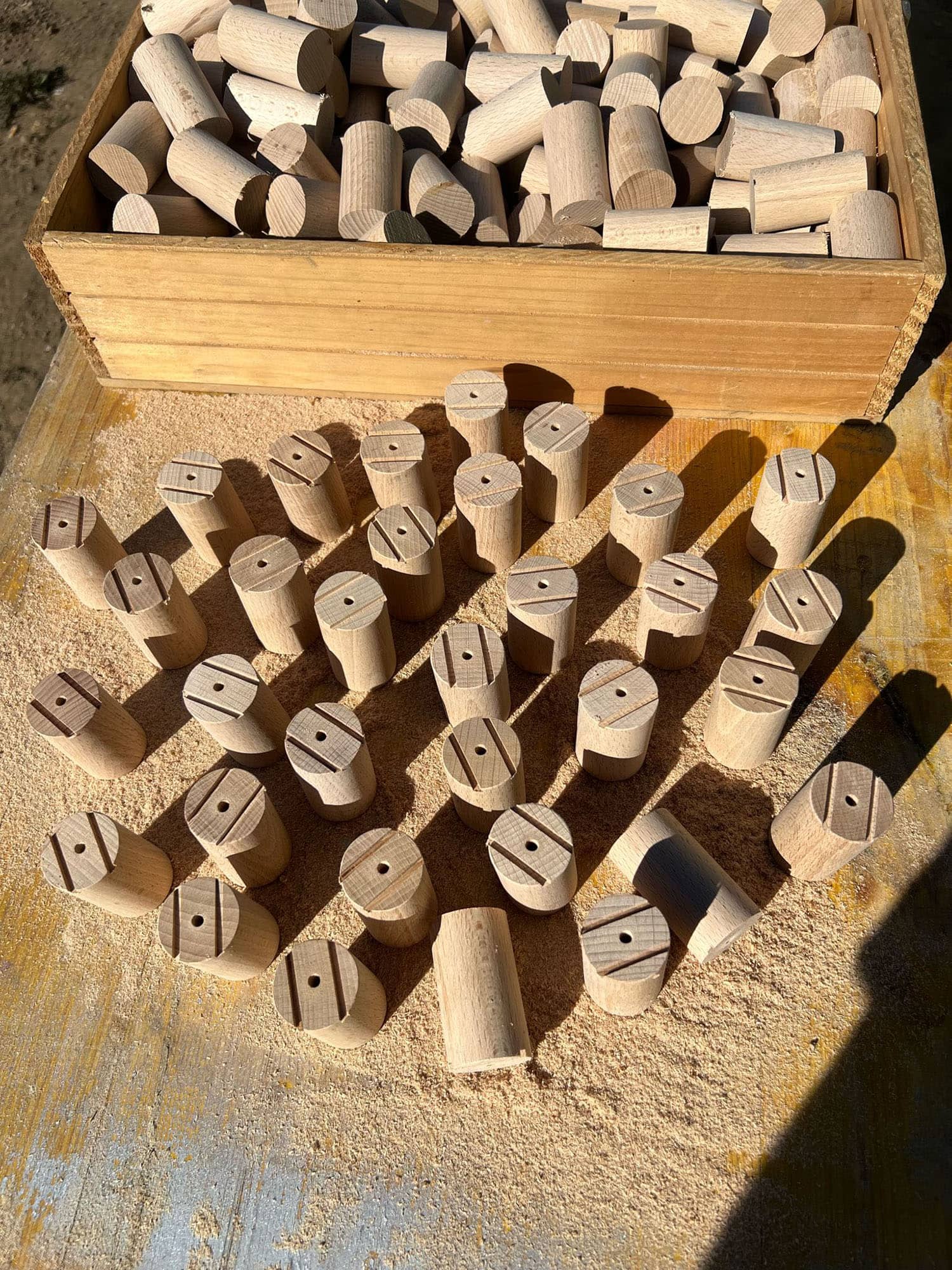 como pendulo hebreo roble